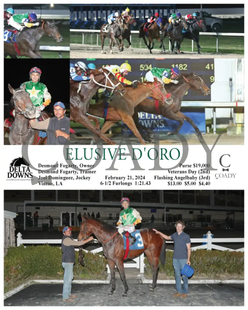Elusive D’oro - 02 - 21 - 24 R06 Ded Delta Downs