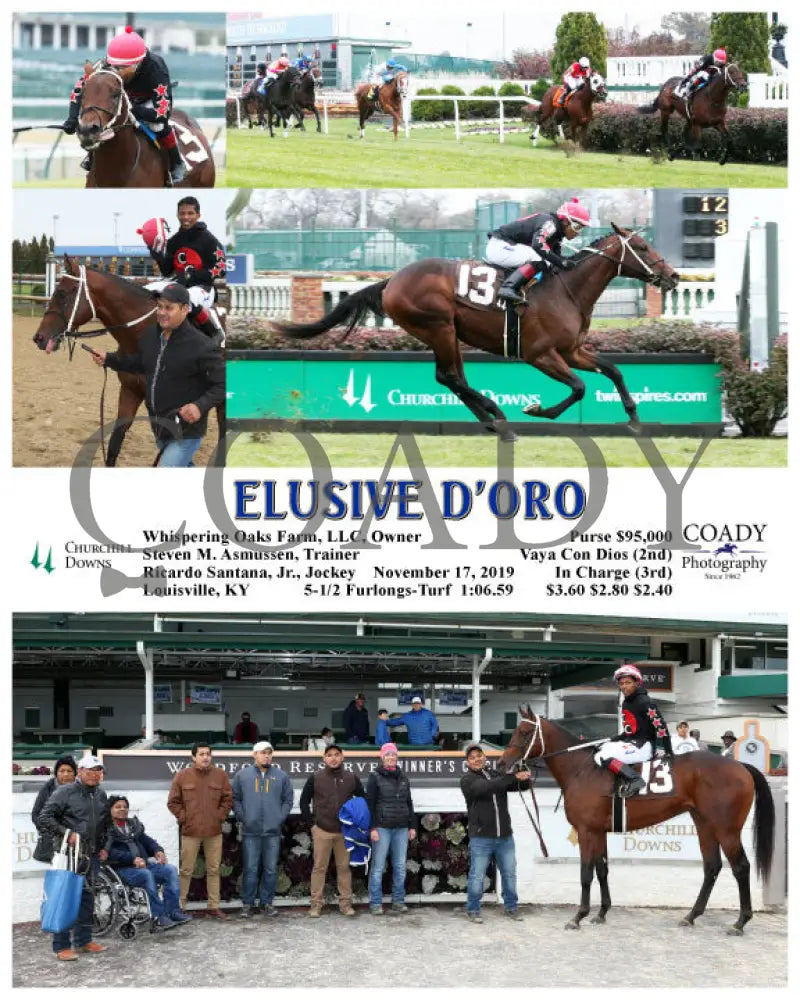Elusive D’oro - 11-17-19 R06 Cd Churchill Downs