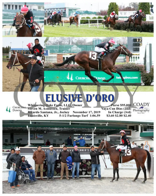 Elusive D’oro - 11-17-19 R06 Cd Churchill Downs