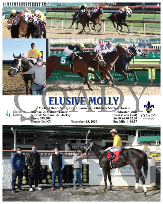 Elusive Molly - 11-13-20 R04 Cd Churchill Downs