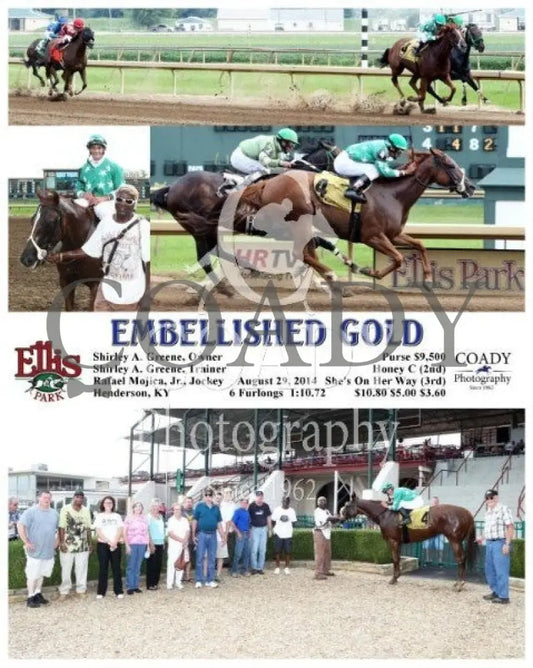 Embellished Gold - 082914 Race 01 Elp Ellis Park