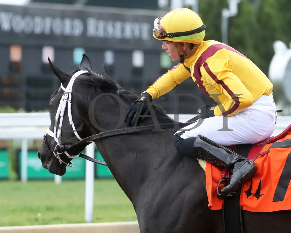 Emery - The Leslie’s Lady Overnight Stakes 3Rd Running 06-09-24 R04 Cd Come Back 01 Churchill Downs