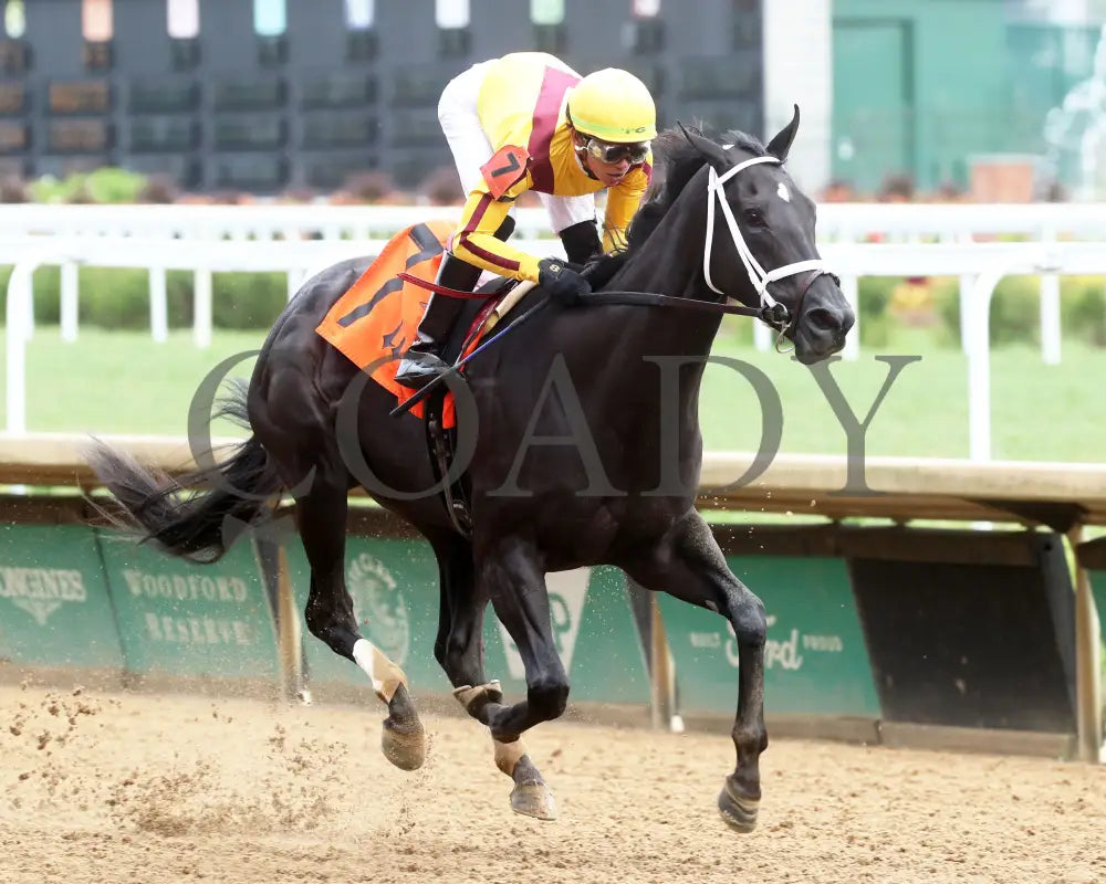 Emery - The Leslie’s Lady Overnight Stakes 3Rd Running 06-09-24 R04 Cd Finish 02 Churchill Downs