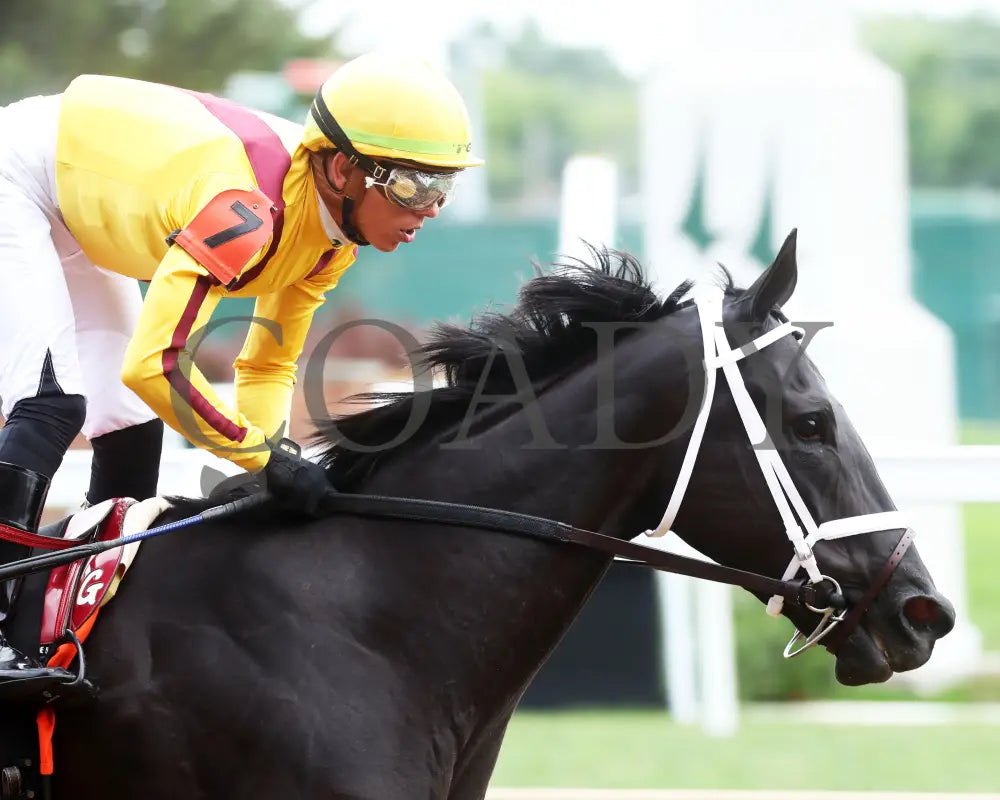 Emery - The Leslie’s Lady Overnight Stakes 3Rd Running 06-09-24 R04 Cd Gallop Out 01 Churchill Downs