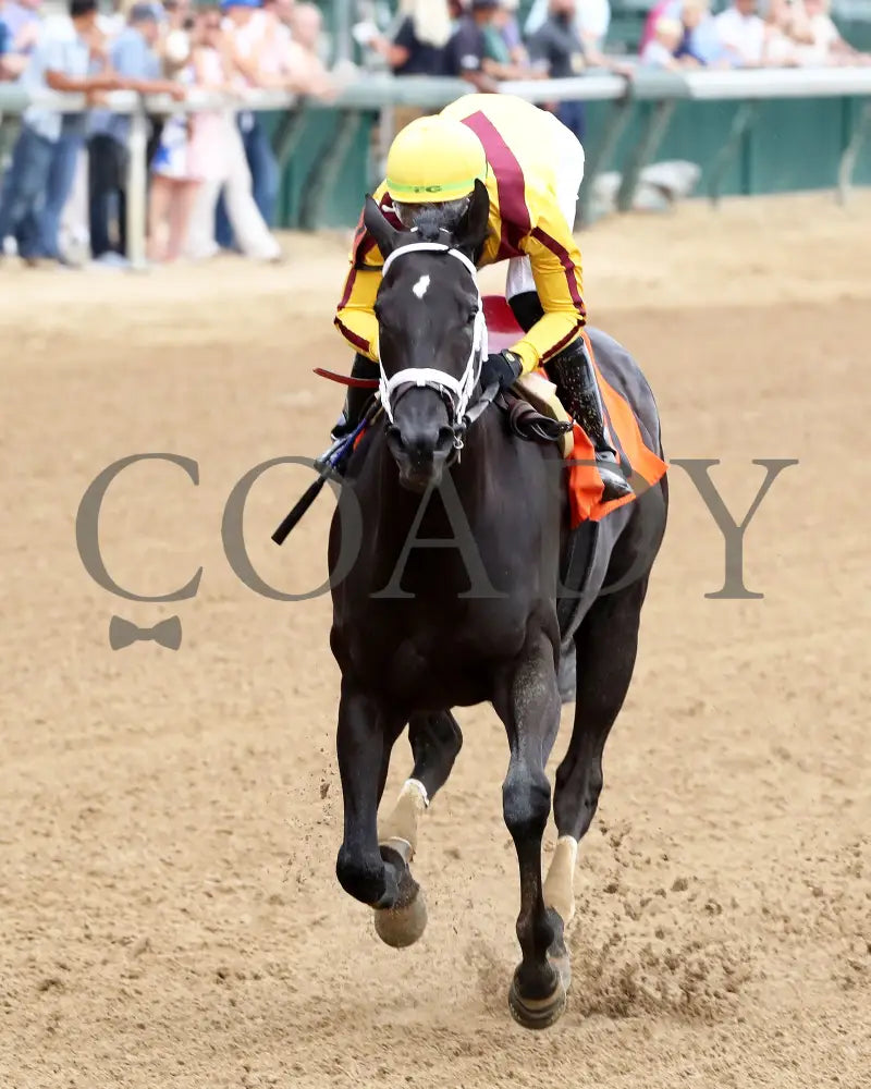 Emery - The Leslie’s Lady Overnight Stakes 3Rd Running 06-09-24 R04 Cd Inside Finish 01 Churchill