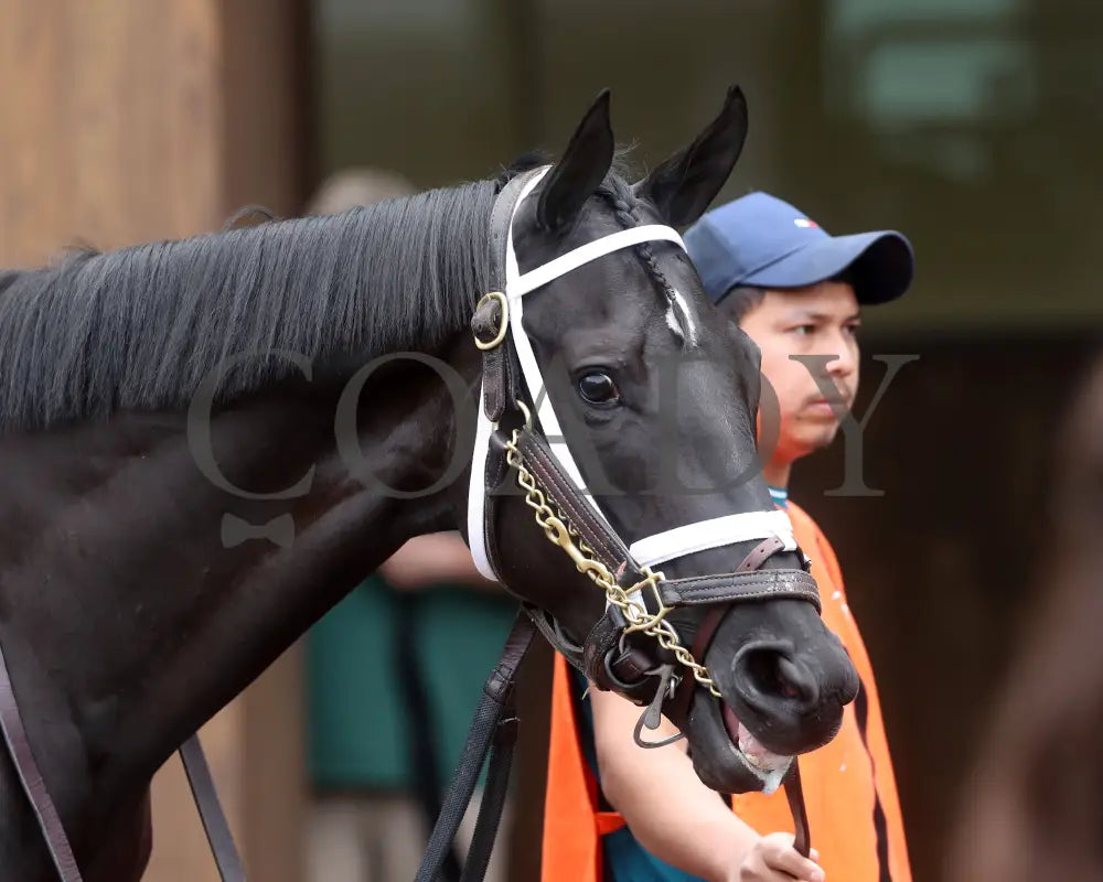 Emery - The Leslie’s Lady Overnight Stakes 3Rd Running 06-09-24 R04 Cd Paddock 01 Churchill Downs