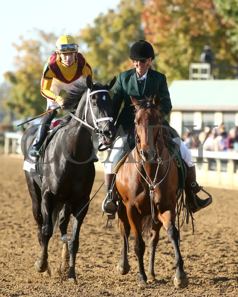 Emery - The Lexus Raven Run G2 10-19-244 R09 Keeneland Race Course Comeback 03