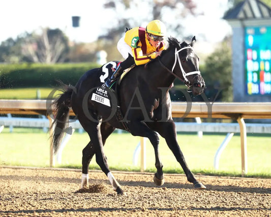 Emery - The Lexus Raven Run G2 10-19-244 R09 Keeneland Race Course Finish 02