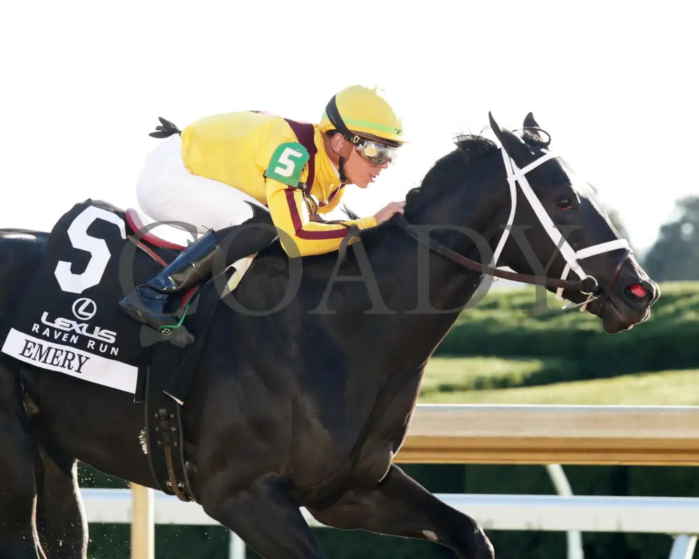 Emery - The Lexus Raven Run G2 10-19-244 R09 Keeneland Race Course Finish 03