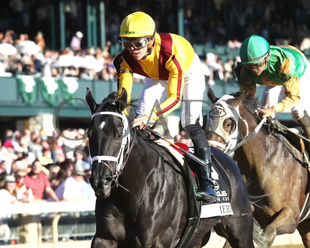 Emery - The Lexus Raven Run G2 10-19-244 R09 Keeneland Race Course -Inside Finish 02