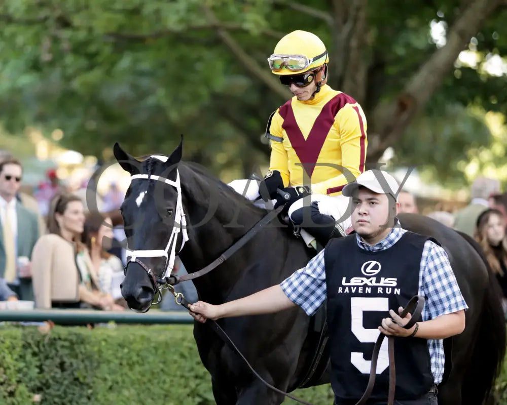 Emery - The Lexus Raven Run G2 10-19-244 R09 Keeneland Race Course Paddock 01