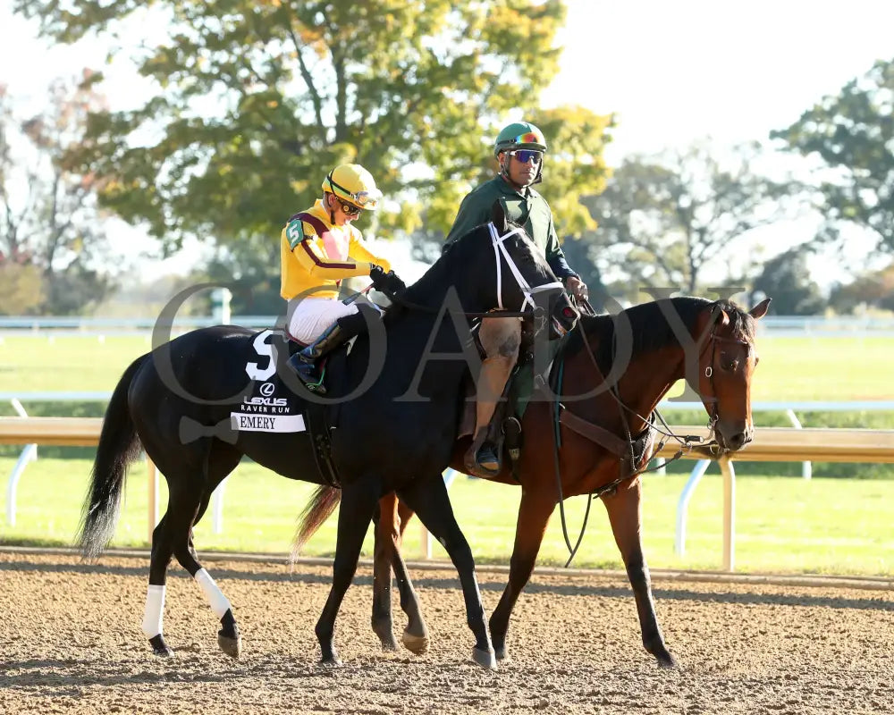 Emery - The Lexus Raven Run G2 10-19-244 R09 Keeneland Race Course Post Parade 02