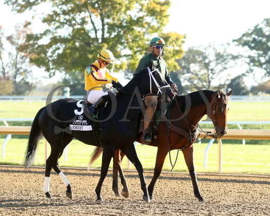 Emery - The Lexus Raven Run G2 10-19-244 R09 Keeneland Race Course Post Parade 02