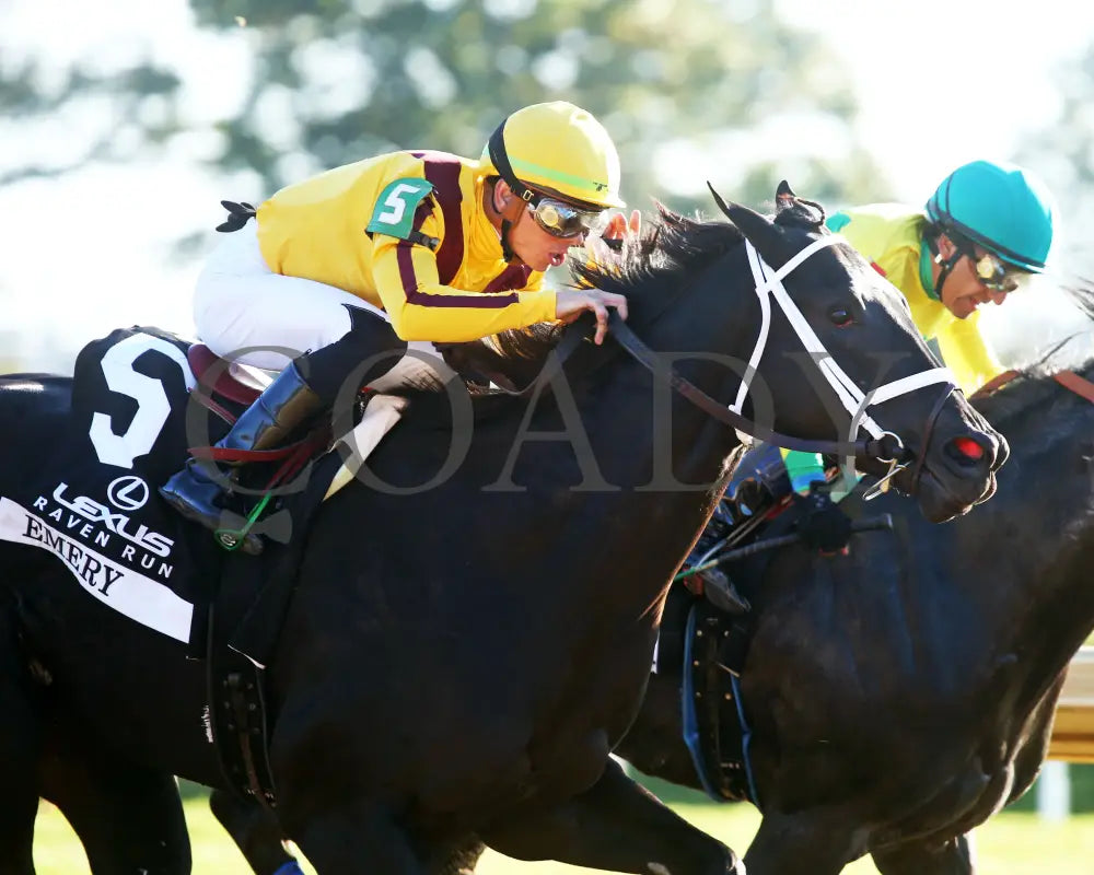 Emery - The Lexus Raven Run G2 10-19-244 R09 Keeneland Race Course Turn 02