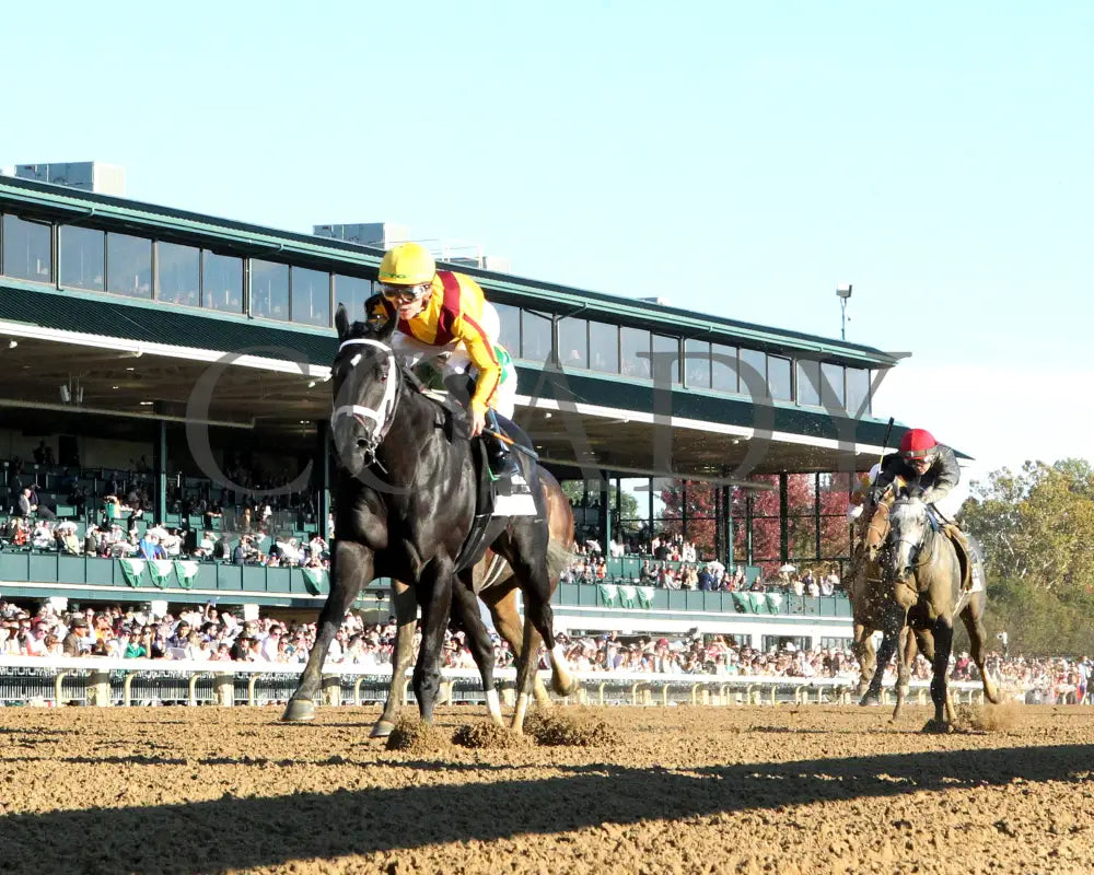 Emery - The Lexus Raven Run G2 10-19-244 R09 Keeneland Race Course Under Rail 01