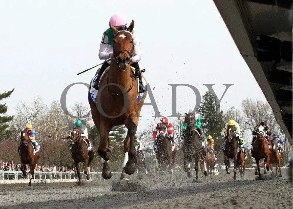 Emollient - 040613 Race 09 Kee Rail Keeneland