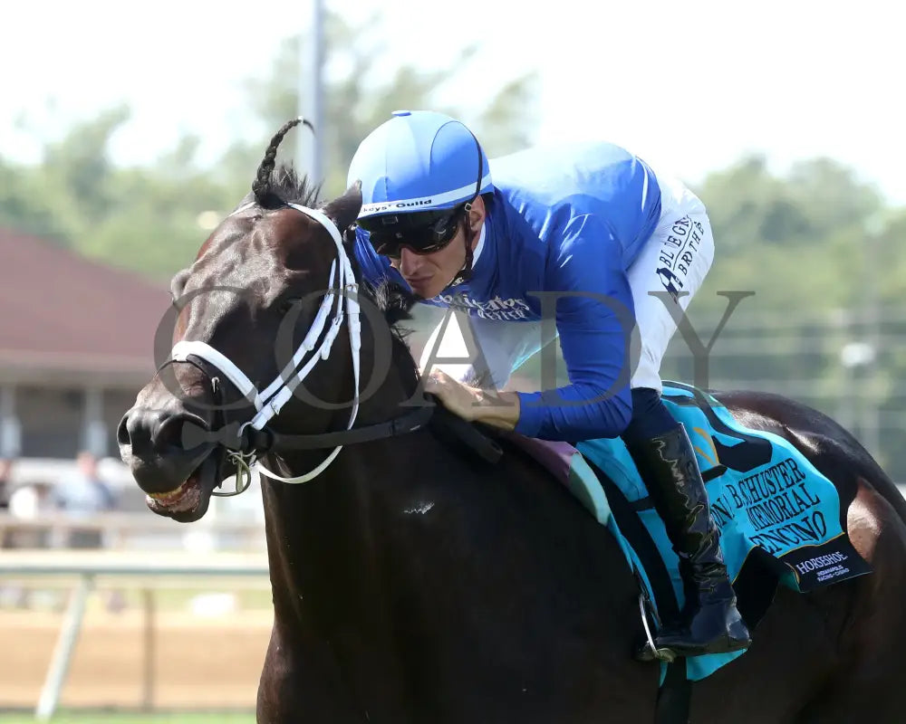 ENCINO - Jonathan B. Schuster Memorial - 16th Running - 07-05-25 - R08 - IND - Inside Finish 01 Indiana Grand