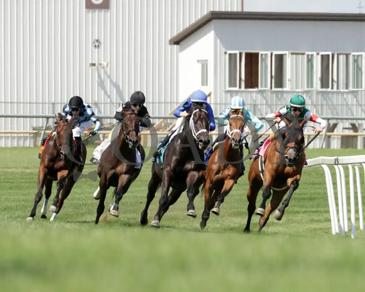 ENCINO - Jonathan B. Schuster Memorial - 16th Running - 07-05-25 - R08 - IND - Turn 01 Indiana Grand