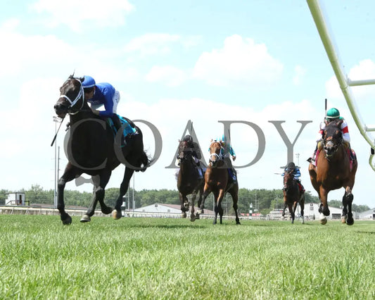 ENCINO - Jonathan B. Schuster Memorial - 16th Running - 07-05-25 - R08 - IND - Under Rail 01 Indiana Grand