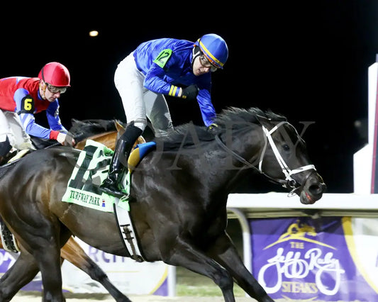 Encino - The John Battaglia 42Nd Running 03-02-24 R06 Tp Celebration 03 Turfway Park