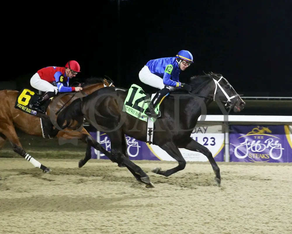 Encino - The John Battaglia 42Nd Running 03-02-24 R06 Tp Finish 01 Turfway Park
