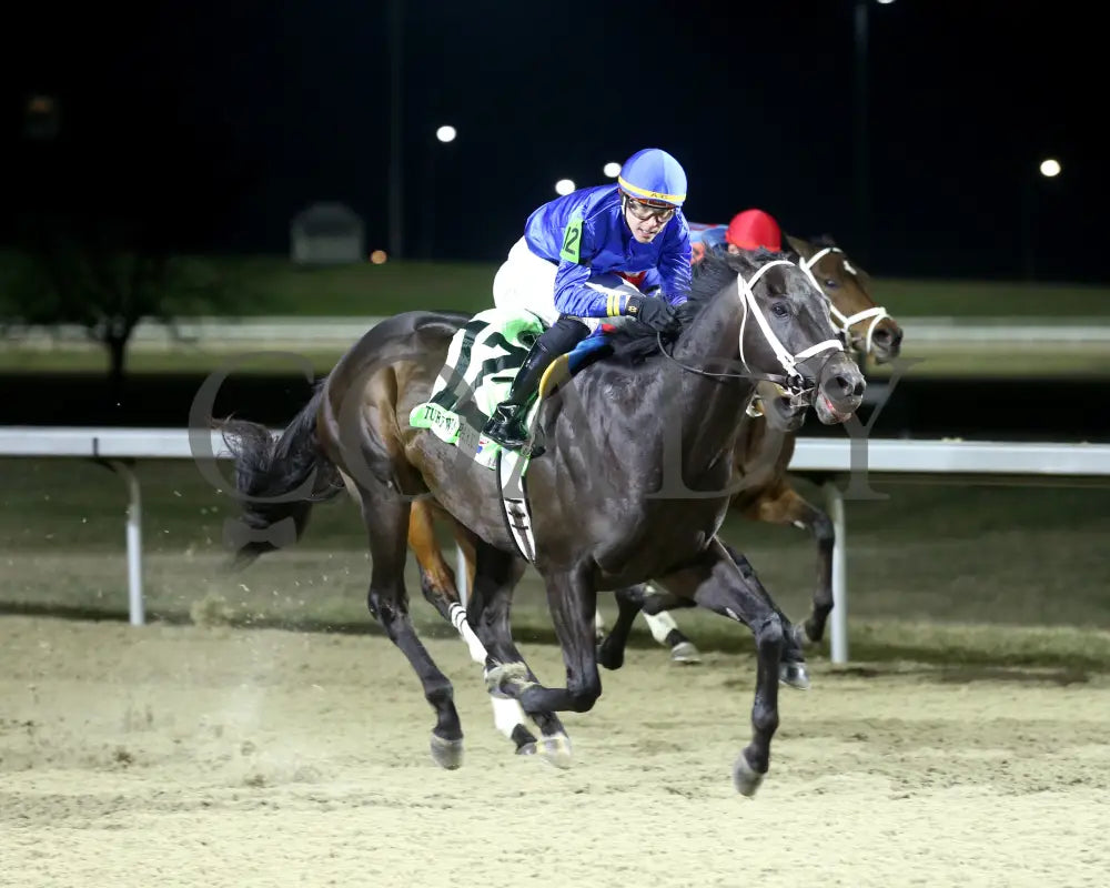 Encino - The John Battaglia 42Nd Running 03-02-24 R06 Tp Finish 03 Turfway Park