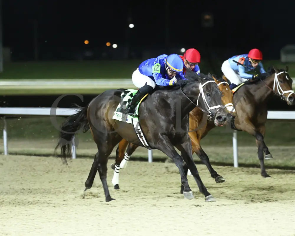Encino - The John Battaglia 42Nd Running 03-02-24 R06 Tp Finish 02 Turfway Park