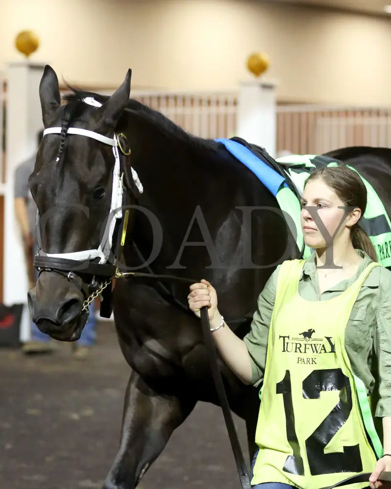 Encino - The John Battaglia 42Nd Running 03-02-24 R06 Tp Paddock 03 Turfway Park