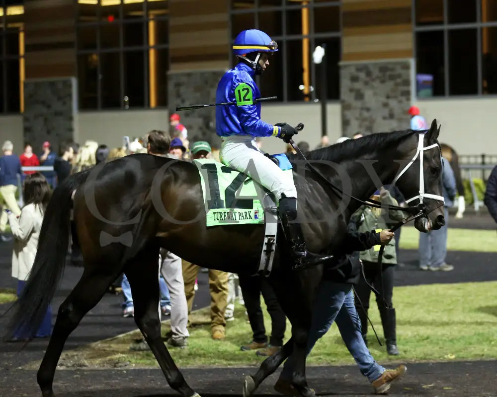 Encino - The John Battaglia 42Nd Running 03-02-24 R06 Tp Paddok 01 Turfway Park