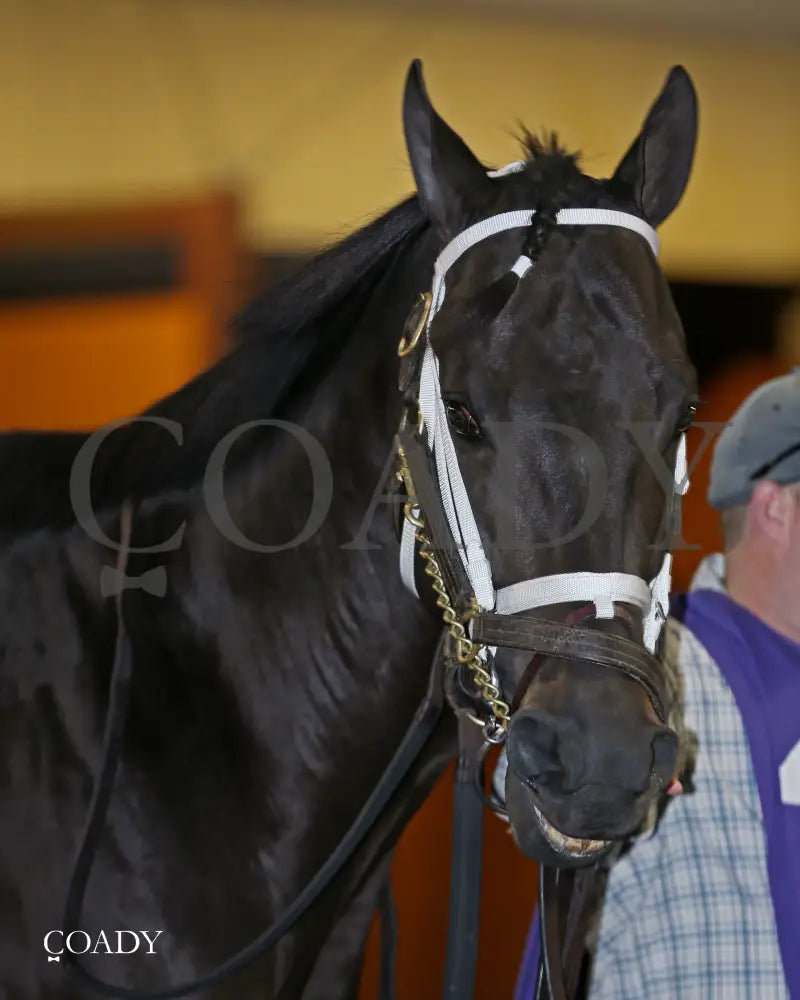 ENCINO - The Presque Isle Mile - 09-19-25 - R08 - PID - Paddock 01 - Coady Media - Kurtis Coady Photography