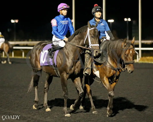 ENCINO - The Presque Isle Mile - 09-19-25 - R08 - PID - Post Parade 01 - Coady Media - Kurtis Coady Photography