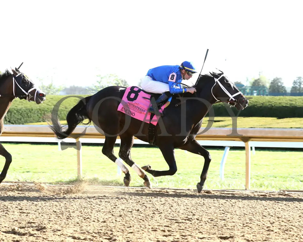 Encino - The Stonestreet Lexington G3 42Nd Running 04 - 13 - 24 Race 10 Kee Finish 01 Keeneland