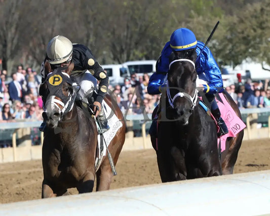 Encino - The Stonestreet Lexington G3 42Nd Running 04 - 13 - 24 Race 10 Kee Inside Finish 02