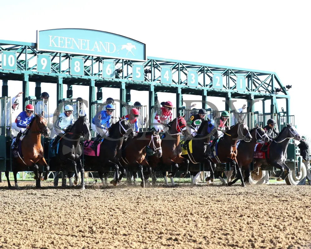 Encino - The Stonestreet Lexington G3 42Nd Running 04 - 13 - 24 Race 10 Kee Start 01 Keeneland