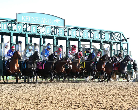 Encino - The Stonestreet Lexington G3 42Nd Running 04 - 13 - 24 Race 10 Kee Start 01 Keeneland