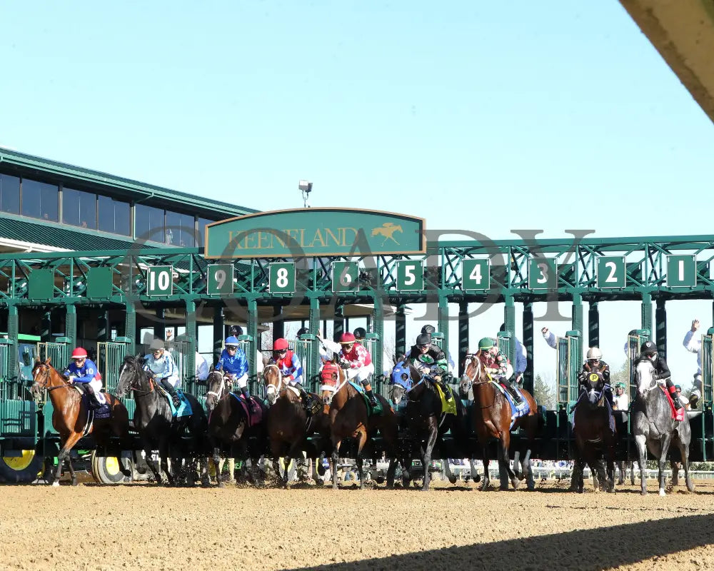 Encino - The Stonestreet Lexington G3 42Nd Running 04 - 13 - 24 Race 10 Kee Start 02 Keeneland