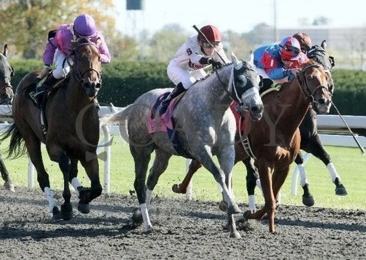 Enclosure - 1 101511 Race 06 Keeneland