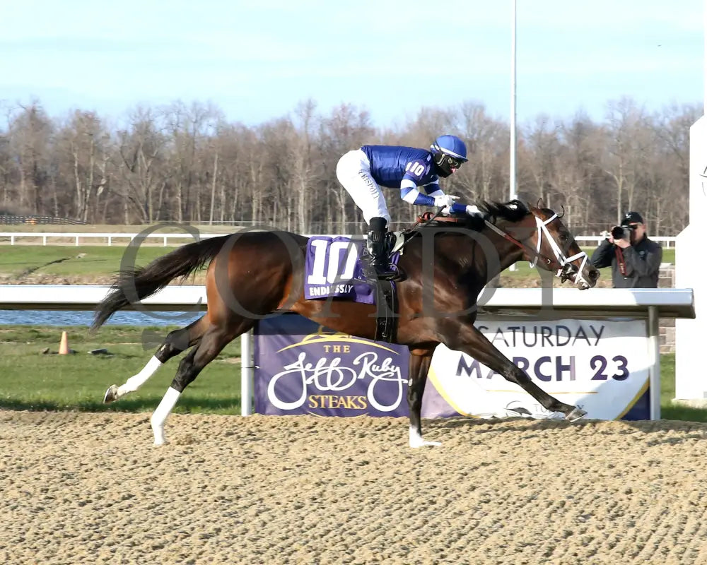 Endlessly - Jeff Ruby Steaks G3 53Rd Running 03 - 23 - 24 R12 Turfway Park Finish 01 Sammantha