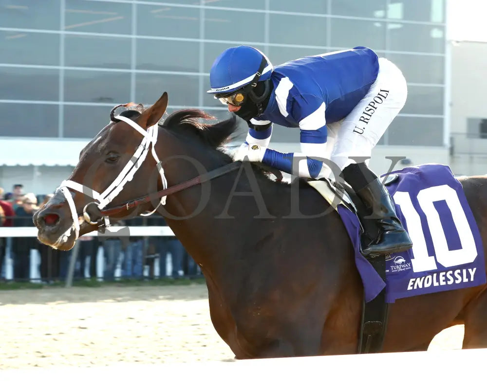 Endlessly - Jeff Ruby Steaks G3 53Rd Running 03 - 23 - 24 R12 Turfway Park Inside Finish 01 Kurtis