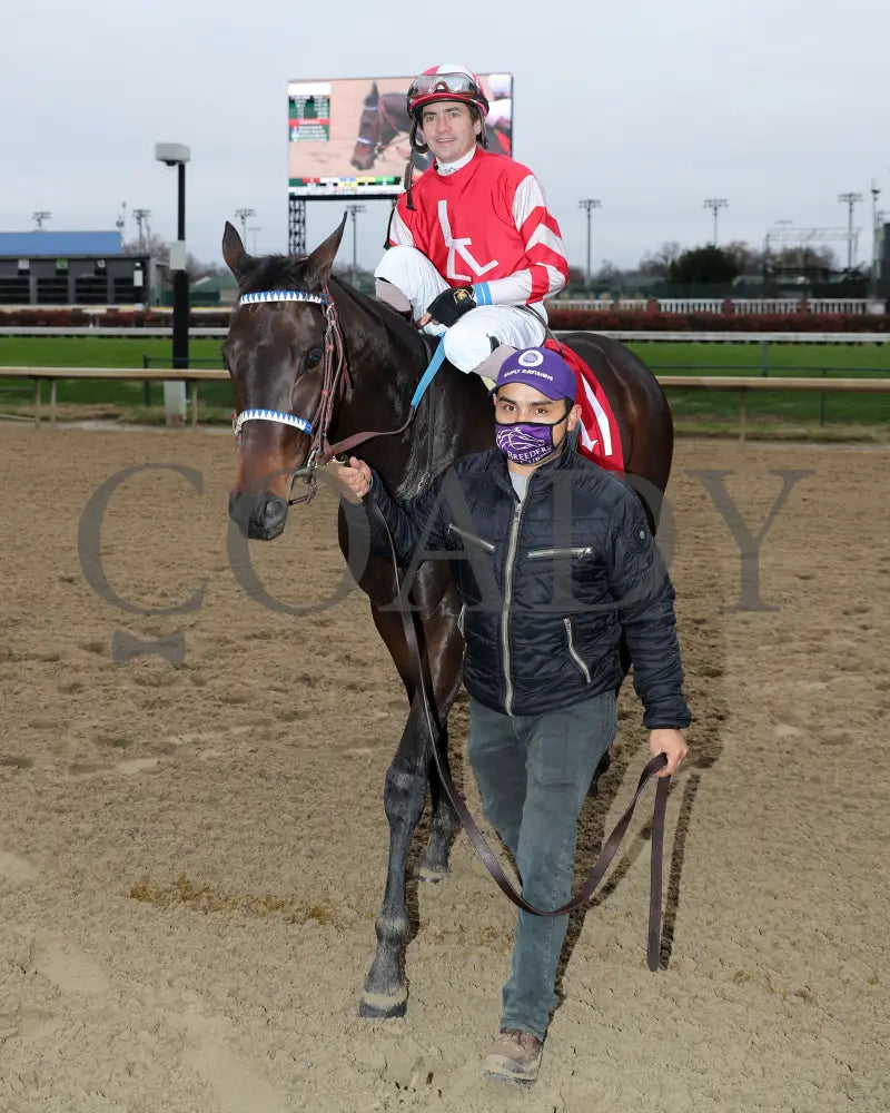 Envoutante - Falls City G2 105Th Running 11-26-20 R10 Cd Come Back 01 Churchill Downs