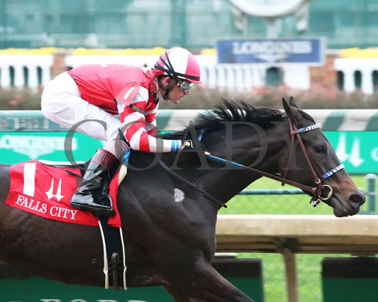 Envoutante - Falls City G2 105Th Running 11-26-20 R10 Cd Tight Finish 01 Churchill Downs