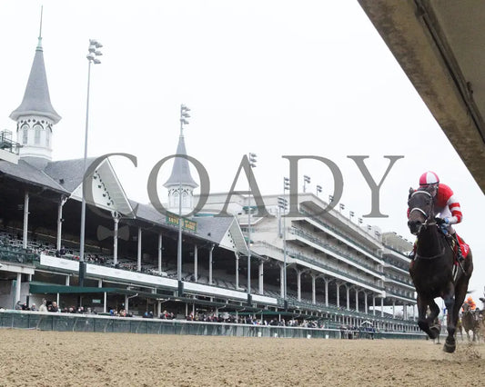 Envoutante - Falls City G2 105Th Running 11-26-20 R10 Cd Under Rail 01 Churchill Downs