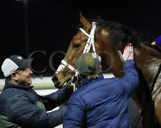 Epic Ride - The Leonatus Stakes 34Th Running 02-02-24 R06 Tp Come Back 03 Turfway Park