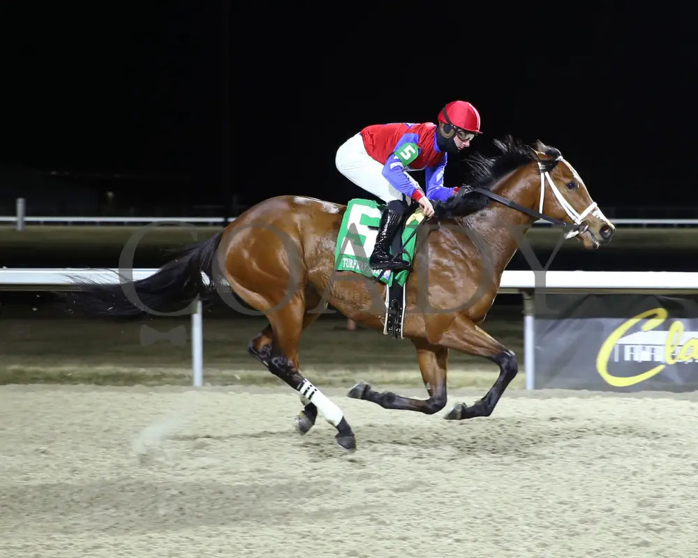 Epic Ride - The Leonatus Stakes 34Th Running 02-02-24 R06 Tp Finish 01 Turfway Park