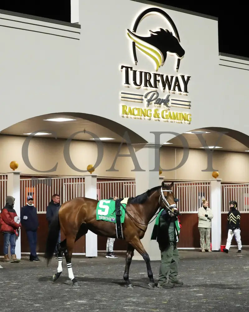 Epic Ride - The Leonatus Stakes 34Th Running 02-02-24 R06 Tp Paddock 01 Turfway Park