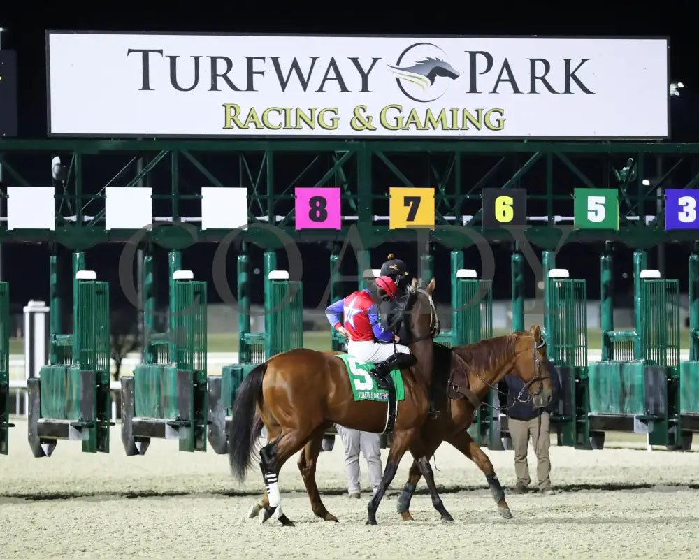 Epic Ride - The Leonatus Stakes 34Th Running 02-02-24 R06 Tp Post Parade 01 Turfway Park