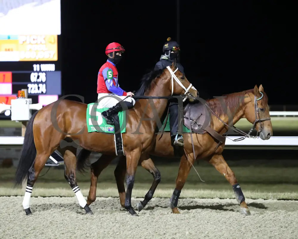 Epic Ride - The Leonatus Stakes 34Th Running 02-02-24 R06 Tp Post Parade 02 Turfway Park