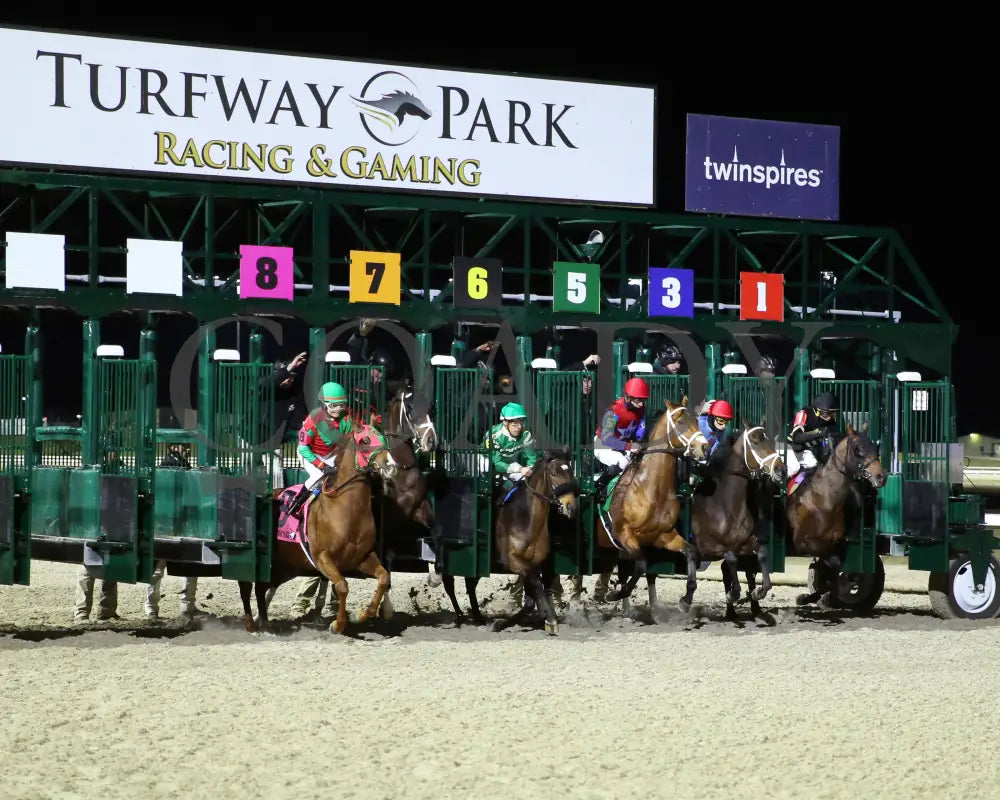 Epic Ride - The Leonatus Stakes 34Th Running 02-02-24 R06 Tp Start 01 Turfway Park