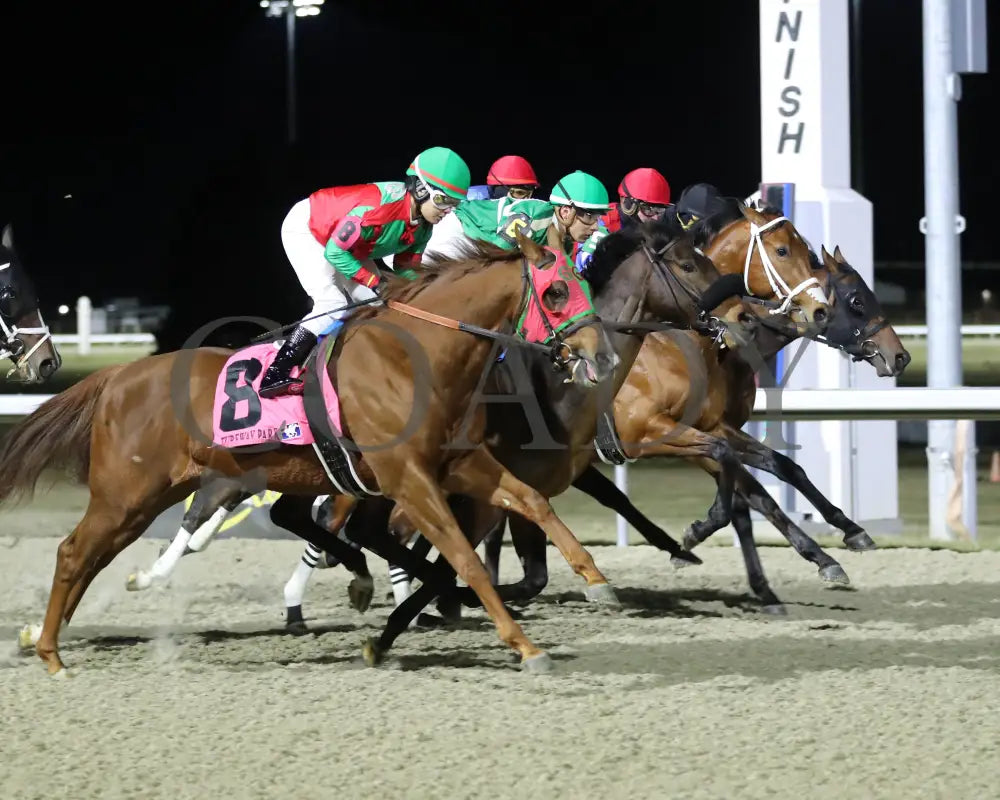 Epic Ride - The Leonatus Stakes 34Th Running 02-02-24 R06 Tp Start 02 Turfway Park
