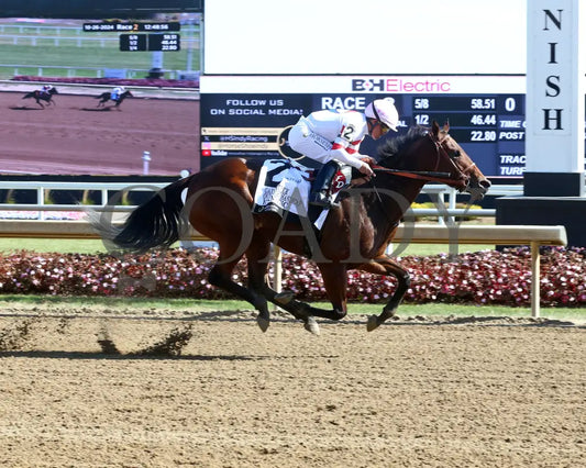 E’s Magic - Gary Patrick Overnight Handicap 10-26-24 R02 Horseshoe Indiana Finish 01 Grand